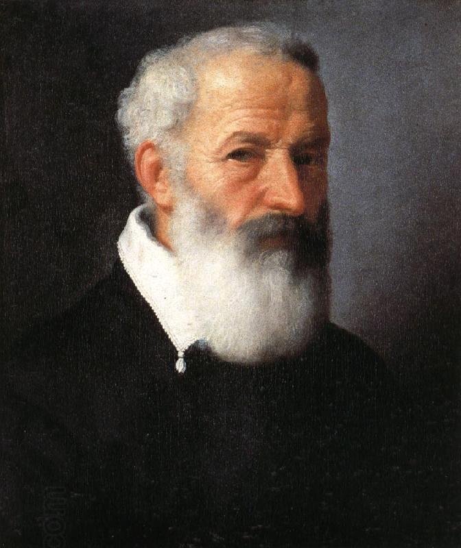 MORONI, Giovanni Battista Portrait of an Old Man China oil painting art